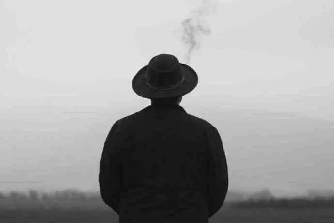 涿州宠物店推荐,涿州装修