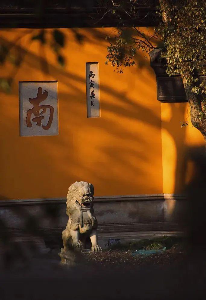 90后小伙入职灵隐寺,灵隐寺本科生找工作
