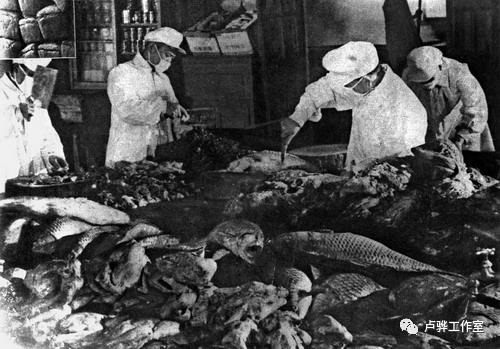 日本战犯抚顺战犯管理所,如何处置日本战犯视频