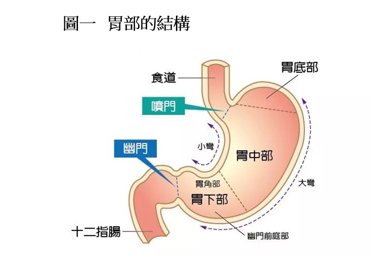 为什么人比动物脆弱,为什么人不能吃生的东西
