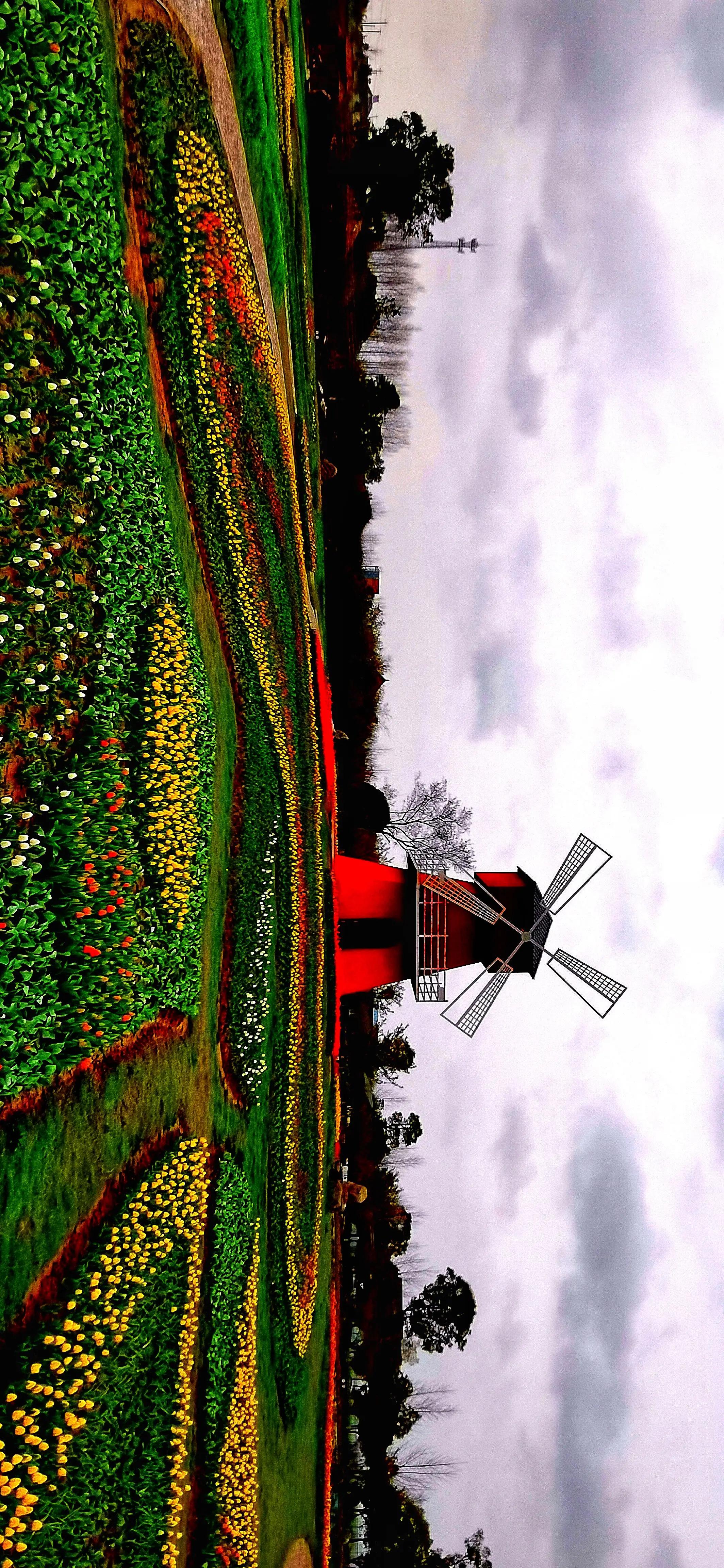 湖北宜昌花海赏花,枝江同心花海四月有什么花