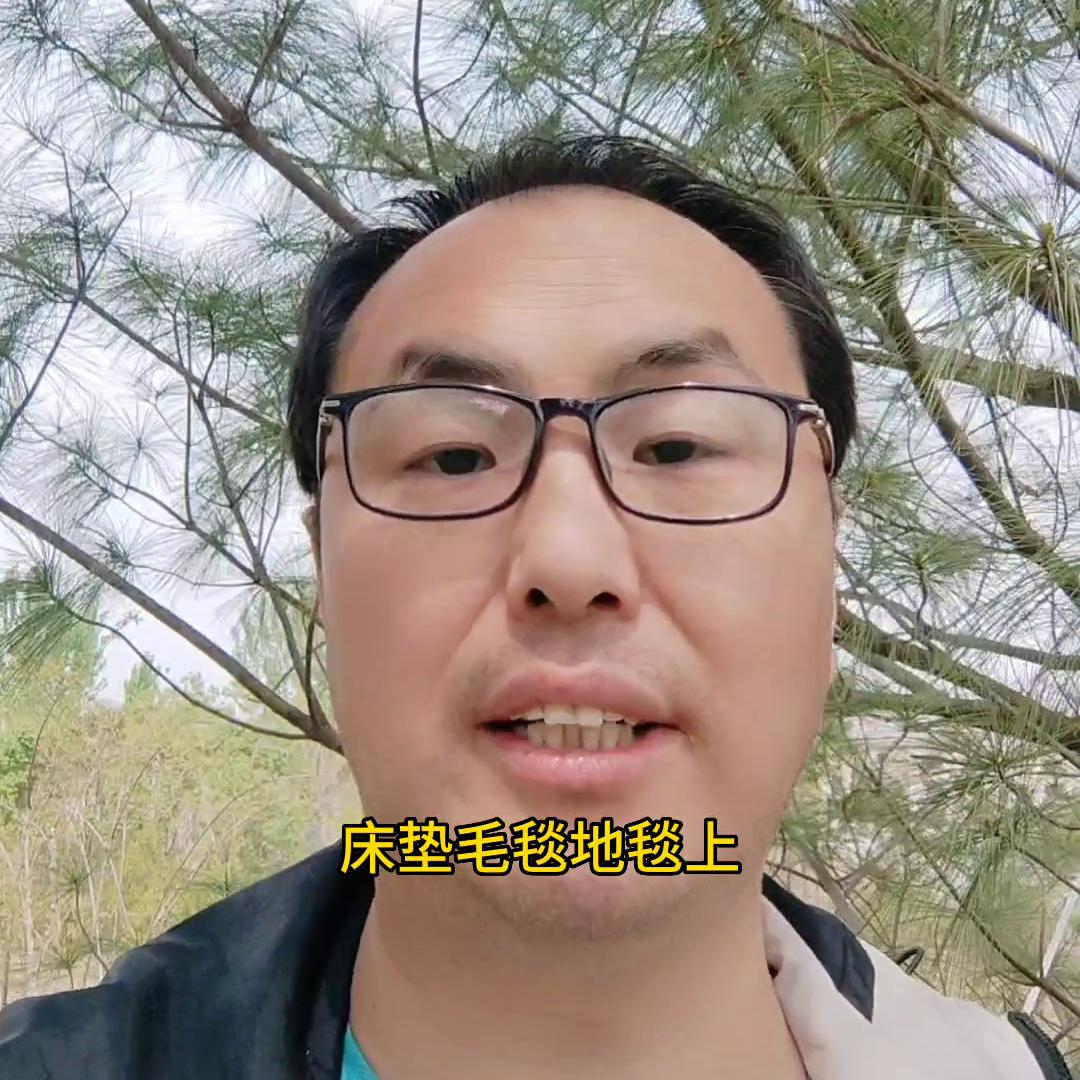 家里有黑皮蠹虫怎么办,家里有皮蠹怎么才能彻底清除干净