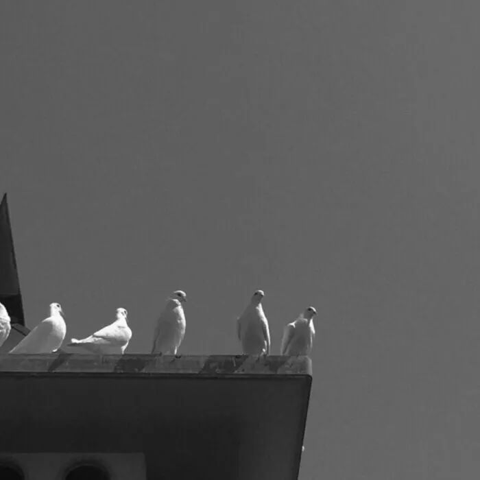 天蝎座是个优秀的猎手,天蝎座高级的猎手