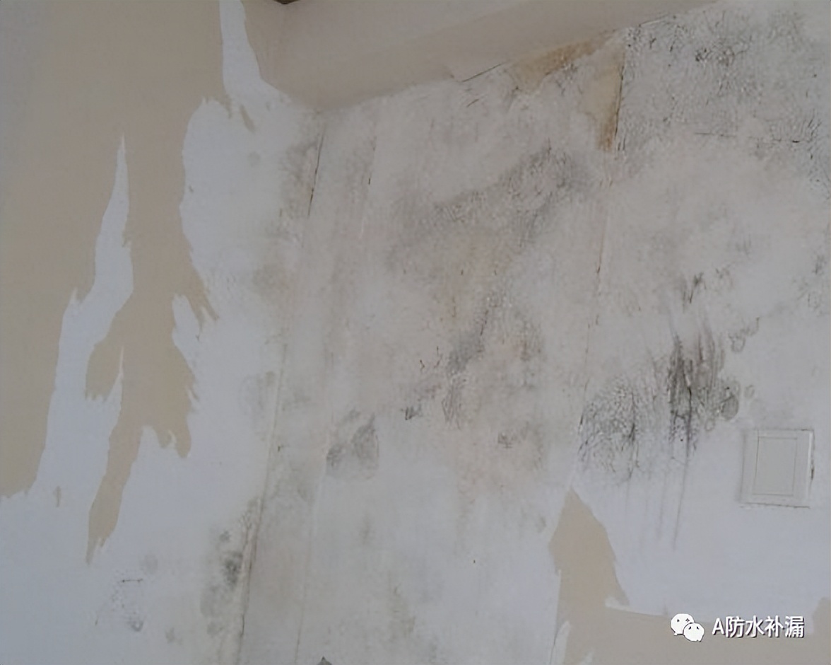 家里墙面潮湿掉皮怎么处理,怎么修补墙面潮湿掉皮