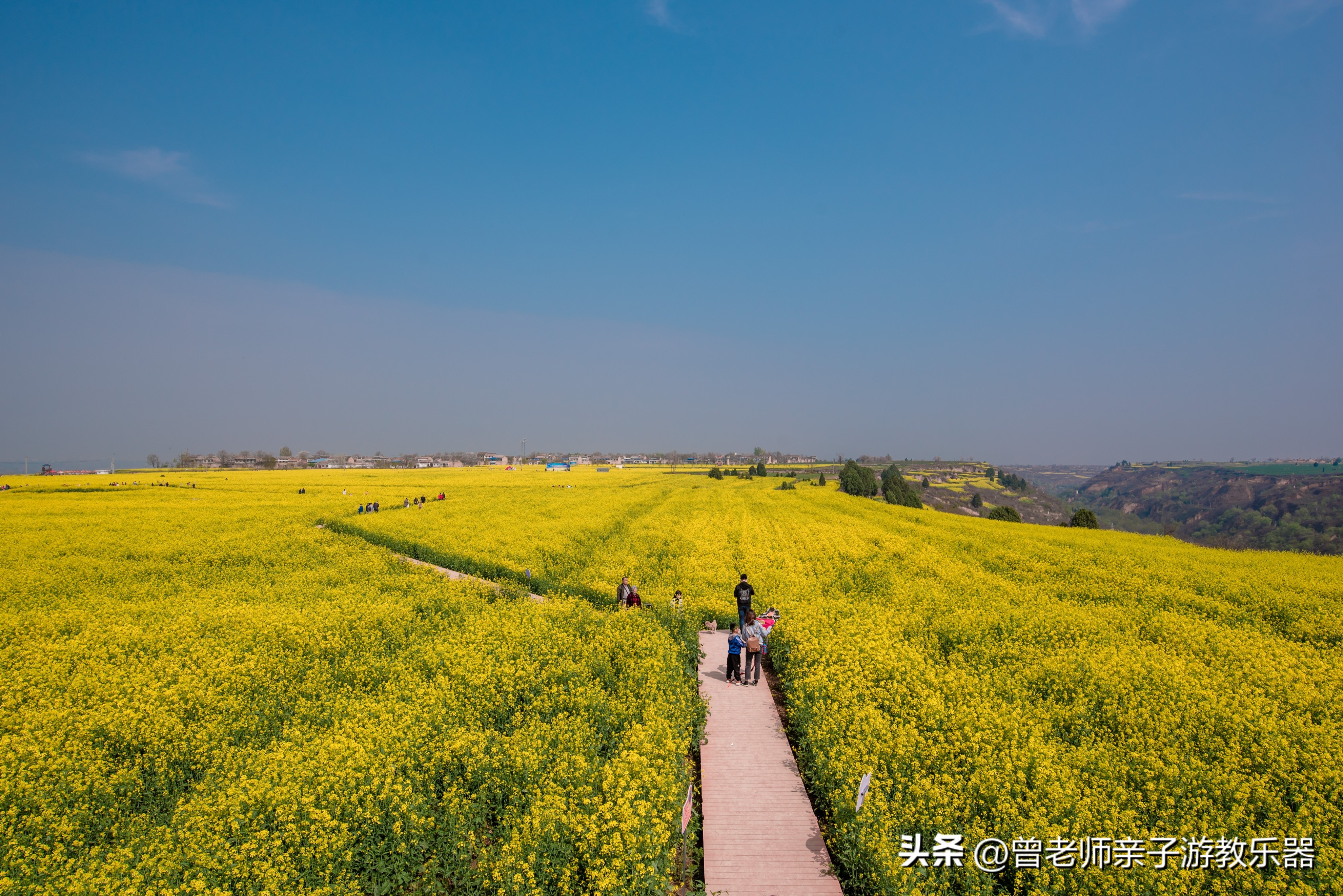 西安油菜花花海,西安看油菜花的地方都有哪些景点