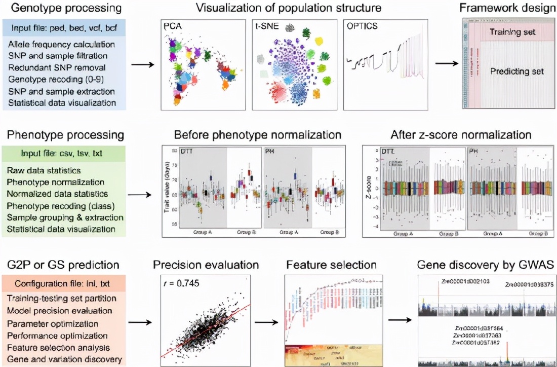 鍩哄洜缁勫伐鍏风,妞嶇墿鍩哄洜缁勫伐鍏风