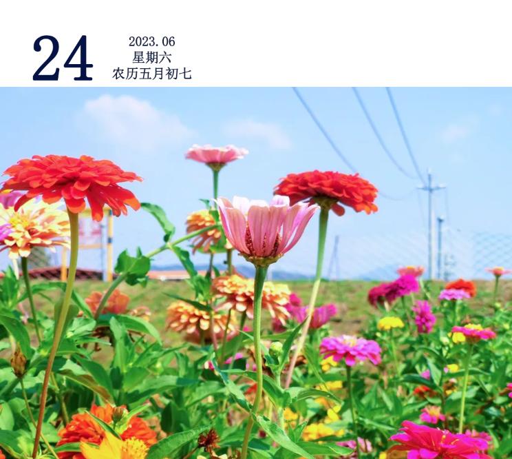 早安韶关|大降价！平均降价近50%！