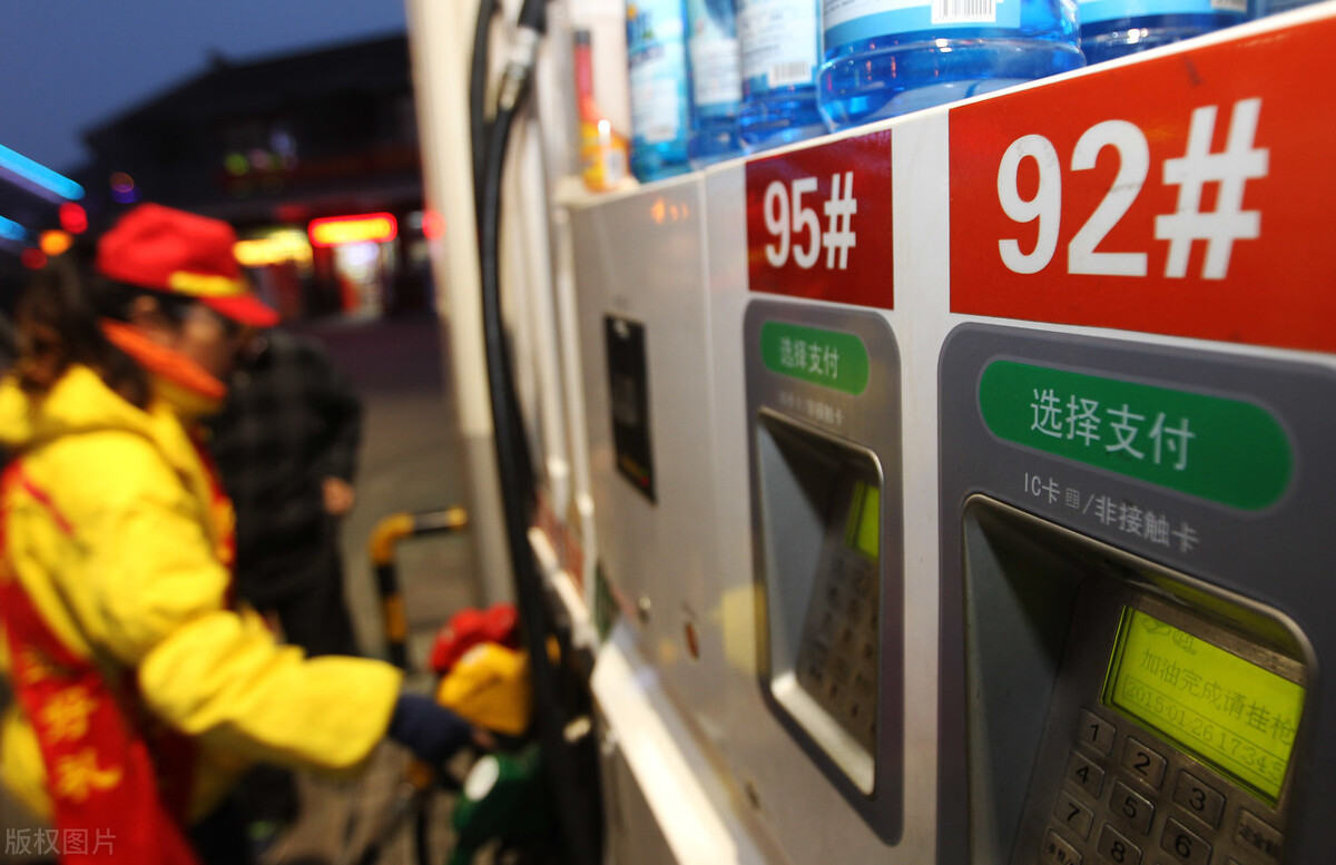 行情突变！9月8日猪价“崩塌预警”，玉米、鸡蛋、油价“太揪心”