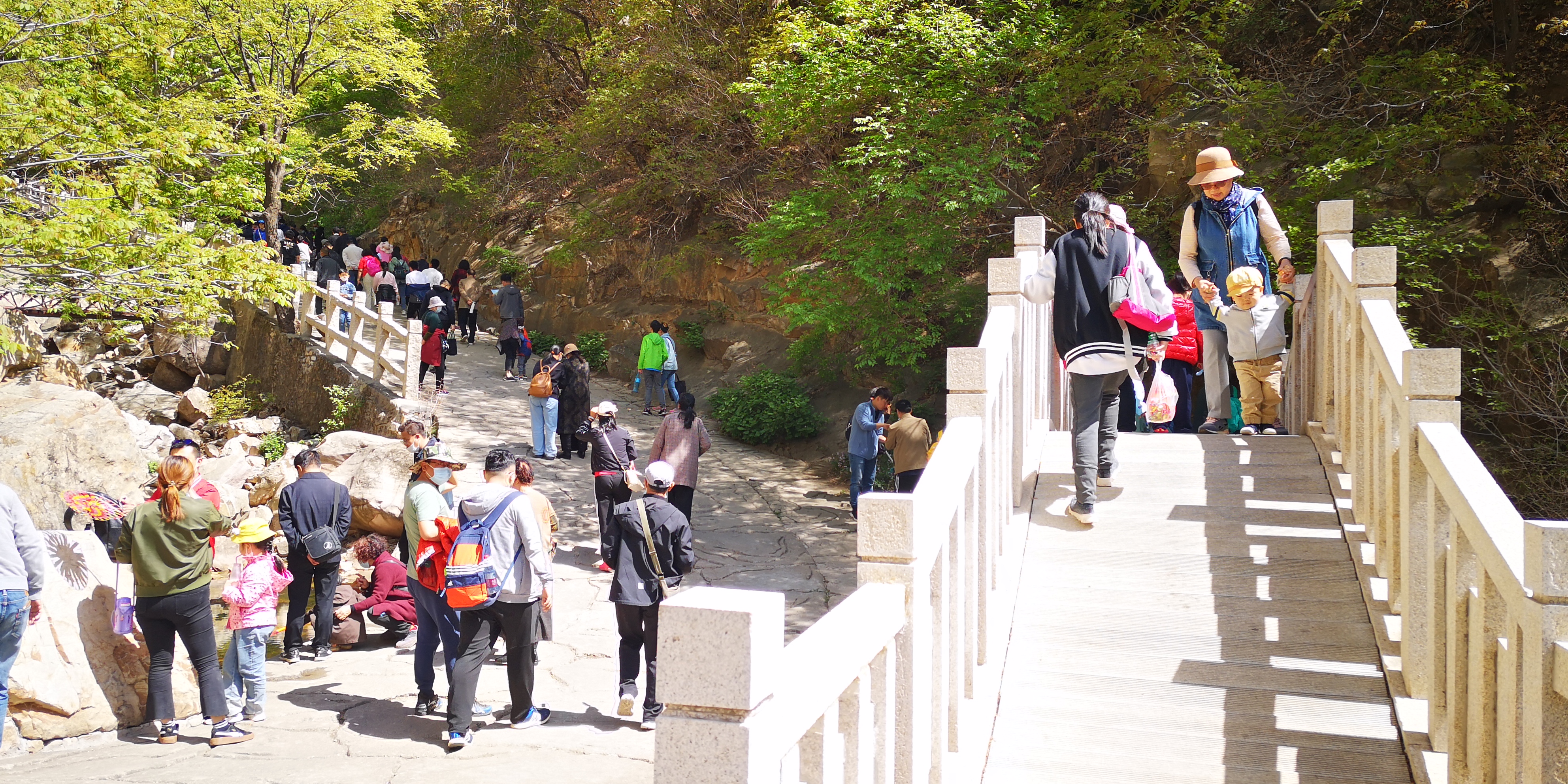 天津梨木台景区值得夏天去的地方,天津蓟县梨木台风景区路线