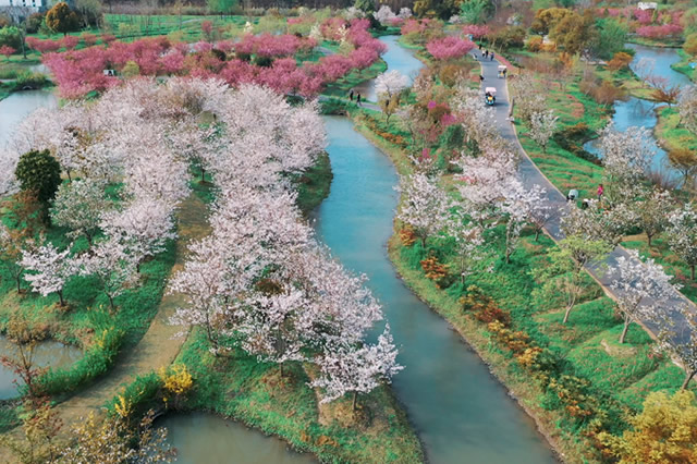 上海市宝山区五年规划,上海宝山规划最新