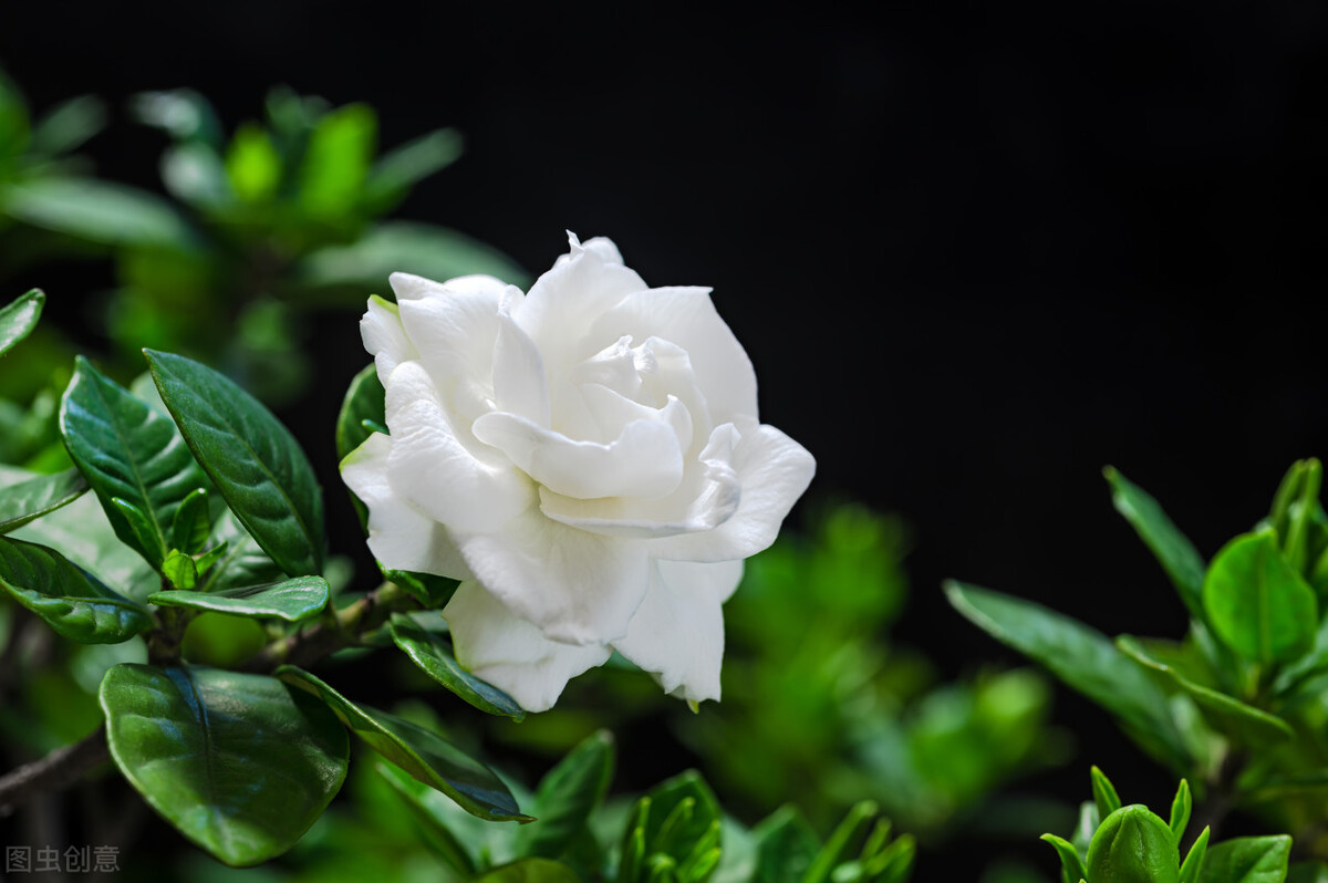 一场突如其来的葬礼后，我用这3点，治愈我自己