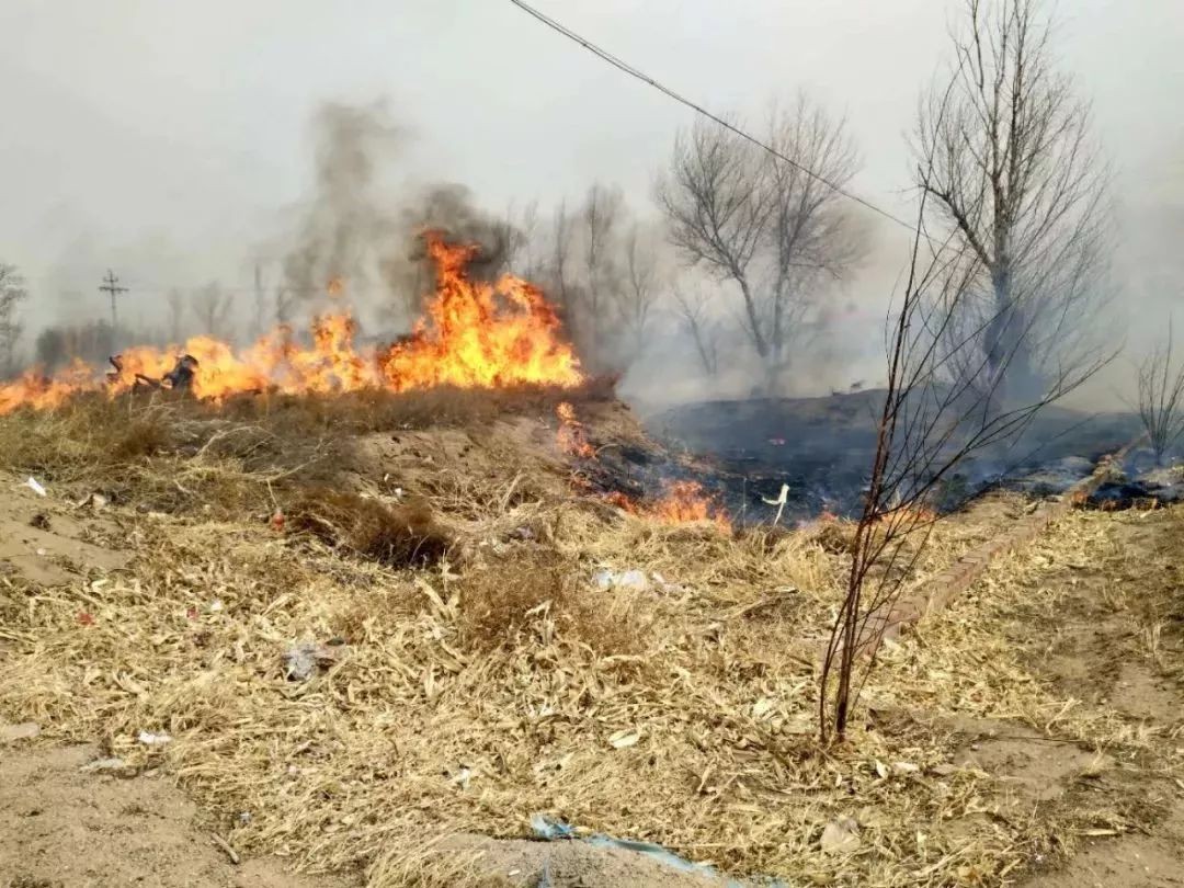 2岁女童被烧伤现场哭声让人揪心,6岁孩子被火烧伤后续