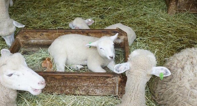 日本究竟有多迷人,日本神户风景视频