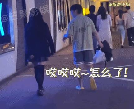 陈思诚新片解密,陈思诚新电影消失的她原主