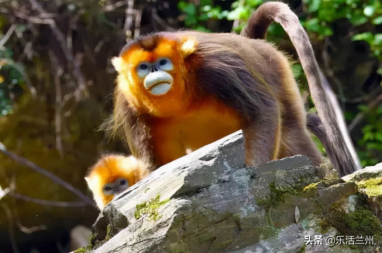 甘肃为啥美,甘肃究竟有多惊艳