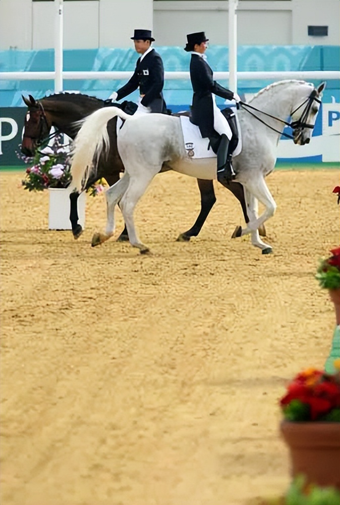 奥运会上形如“鸡肋”的八大体育项目