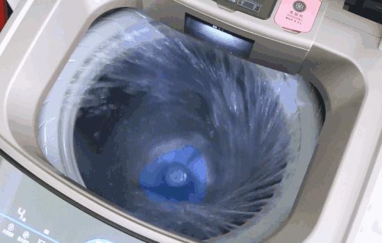 皂荚树现在还有吗,皂荚树经历辉煌又被嫌弃