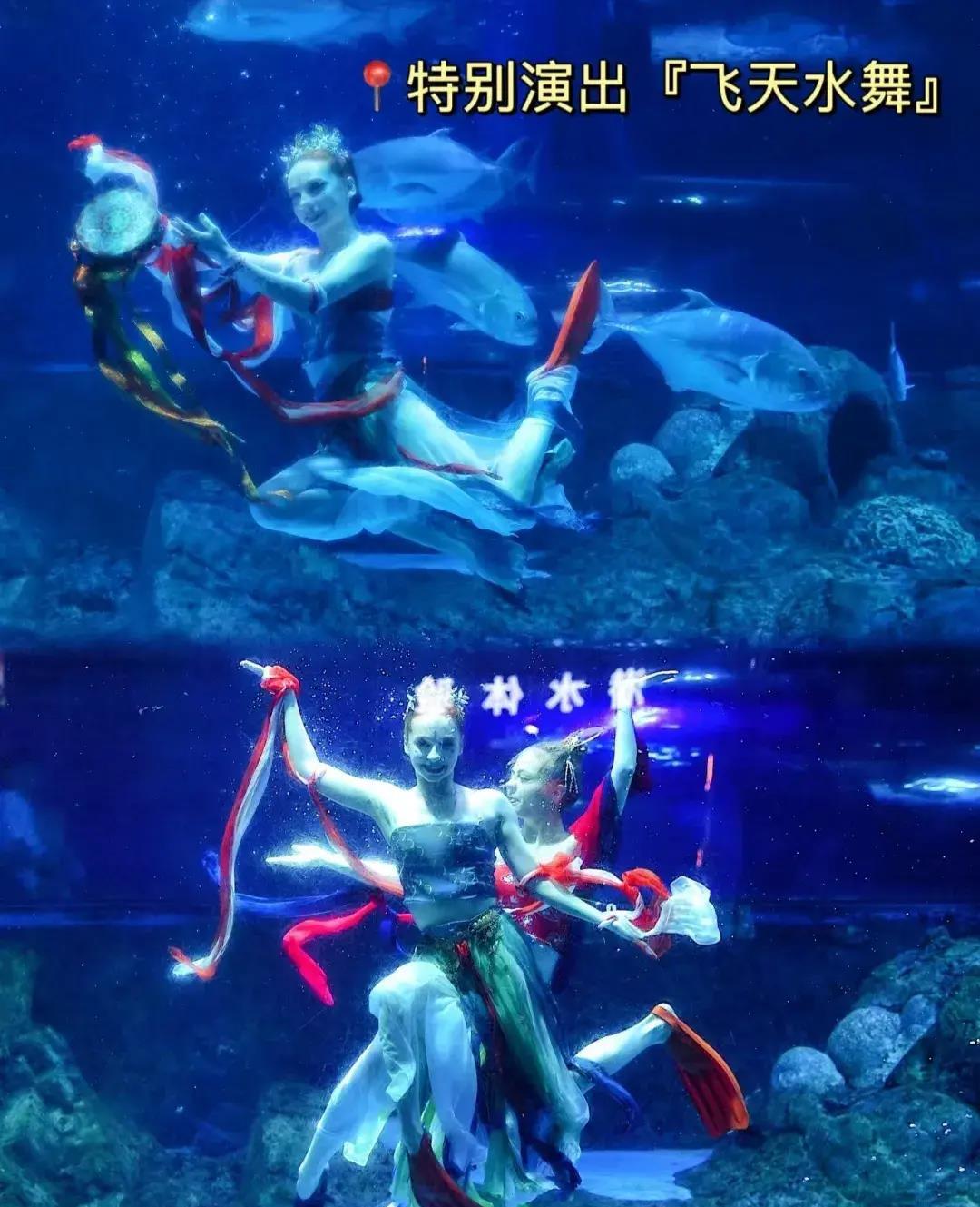 南京海底世界免费旅游,南京海底世界潜水门票