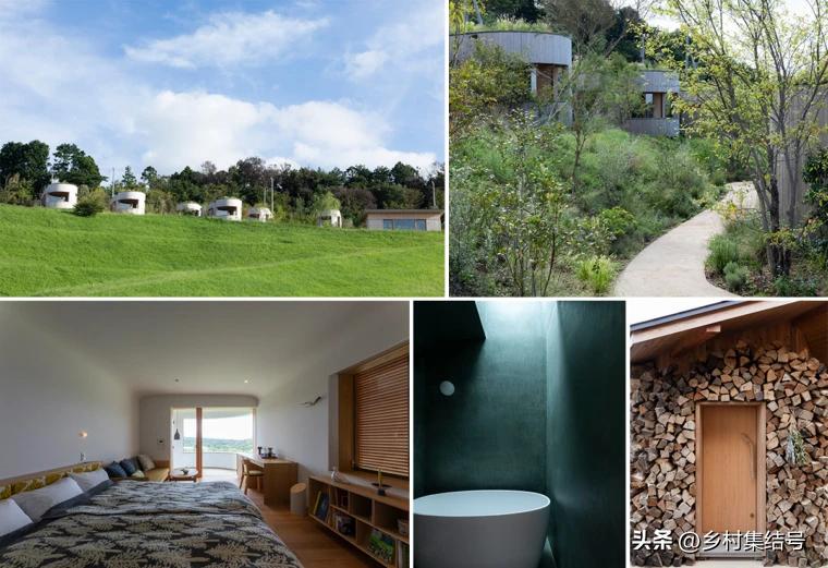 日本农业大县探寻乡村振兴新路,日本家庭农场农业模式