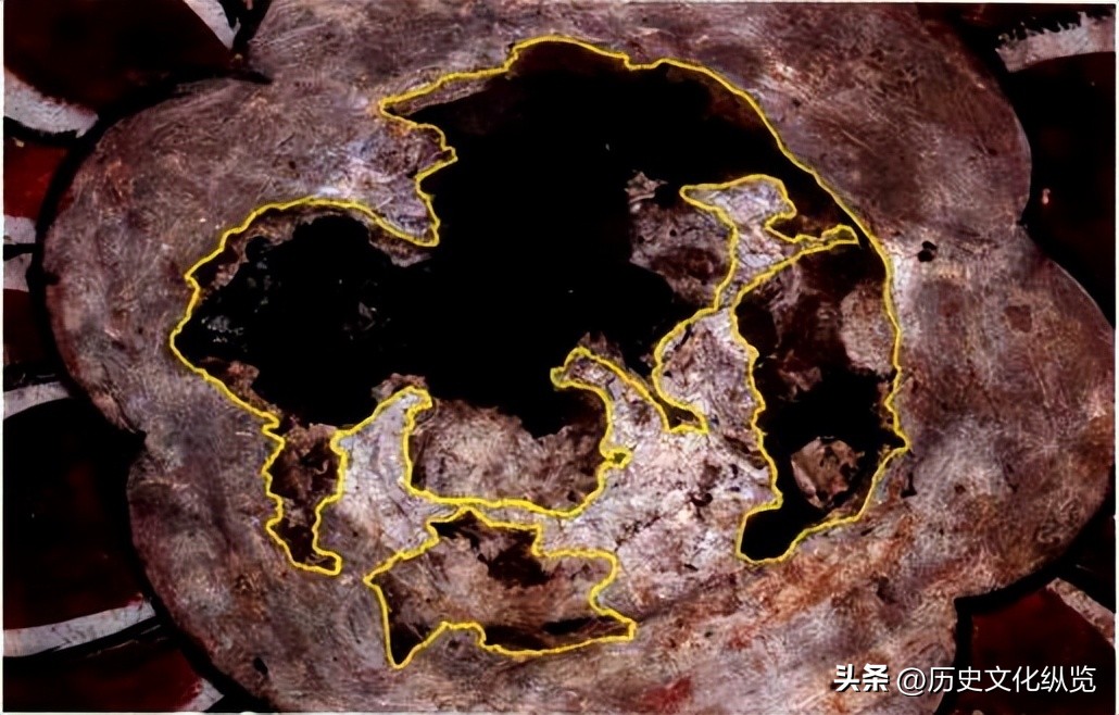 历史考古古墓解密探索,考古新发现怪墓里的神秘古国