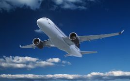 鲸鸟物流百科9--空运海运怎么选？