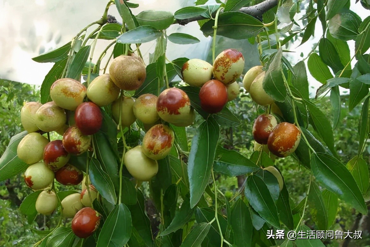 天津文化自然遗产,天津市物质文化遗产名单