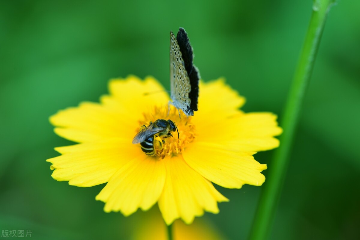 爨的九个字的姓氏,爨这个姓氏很罕见啊