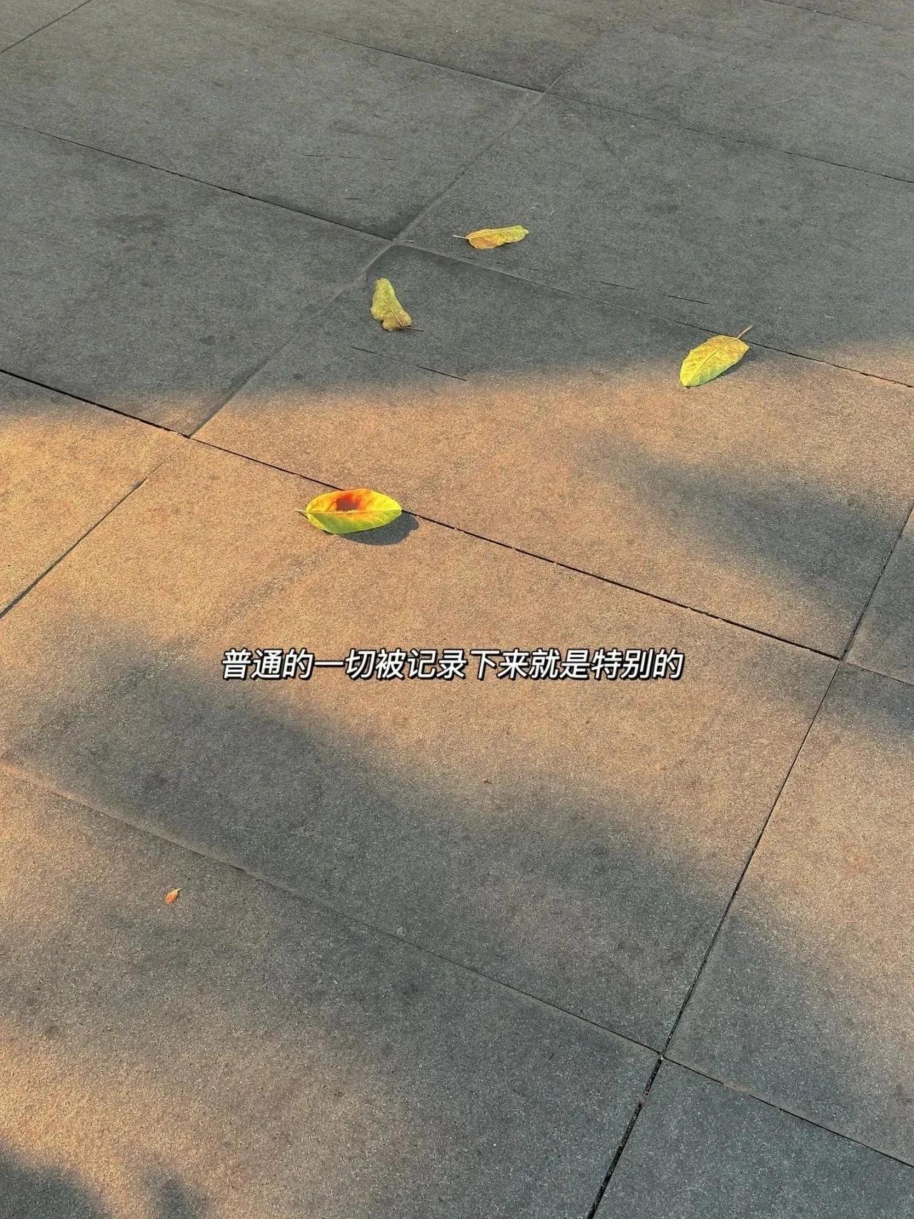 对自己的洞察和理解,正视自己的差距