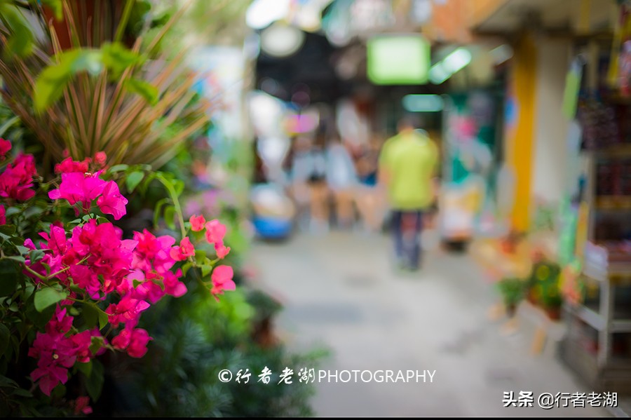 香港有多少离岛,香港有多少个旅游岛