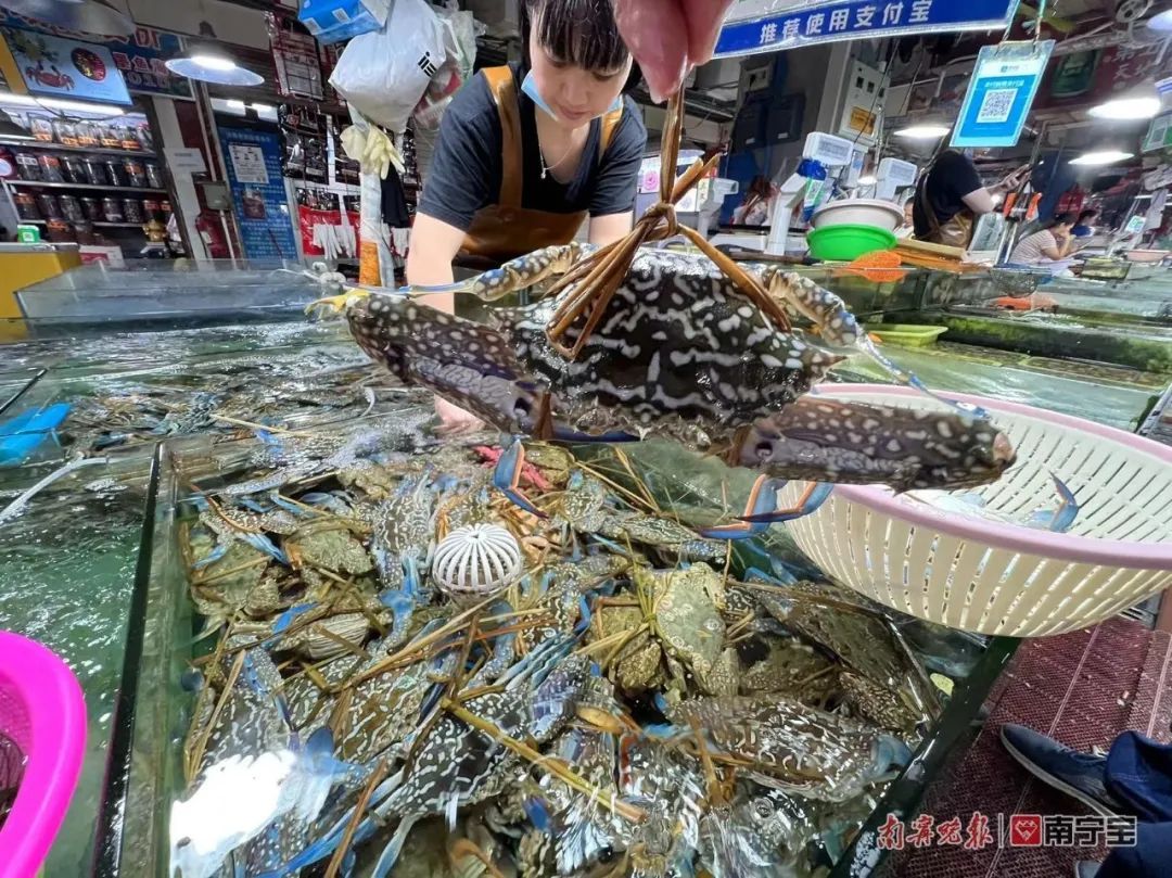 南宁哪个海鲜市场海鲜多便宜,南宁海鲜市场现状