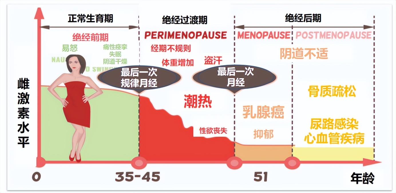 内分泌科陈璐璐教授,妇女绝经了用激素替代疗法有用吗