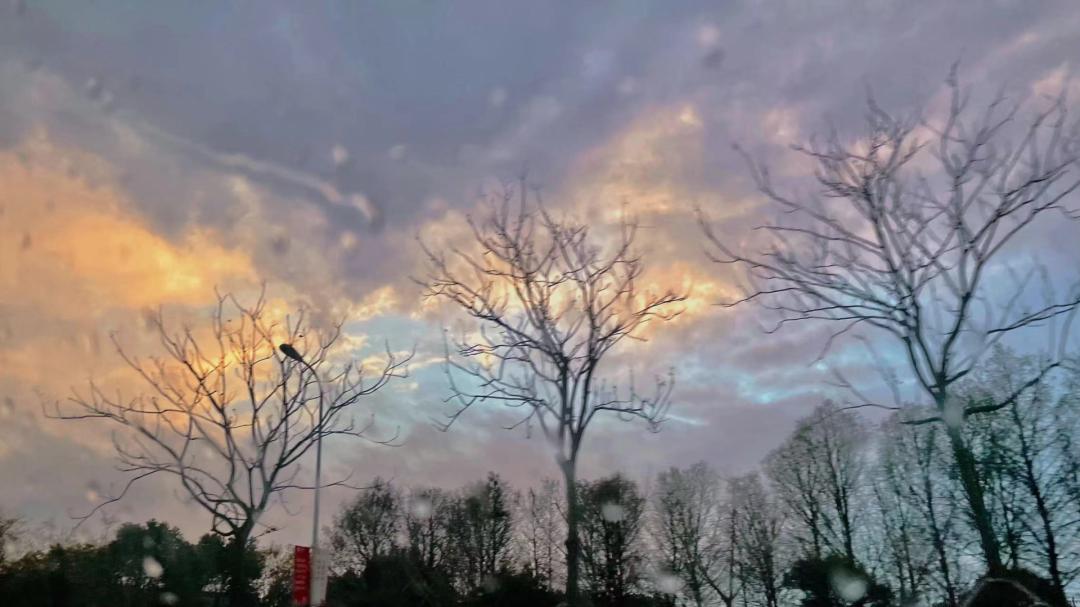 在上海静默的春天，三位实体商业人的此时此刻|与你同在