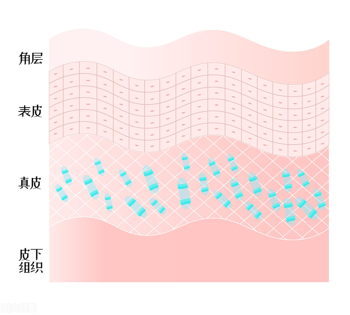 家用美容仪哪个效果最好,家用美容仪视频教程