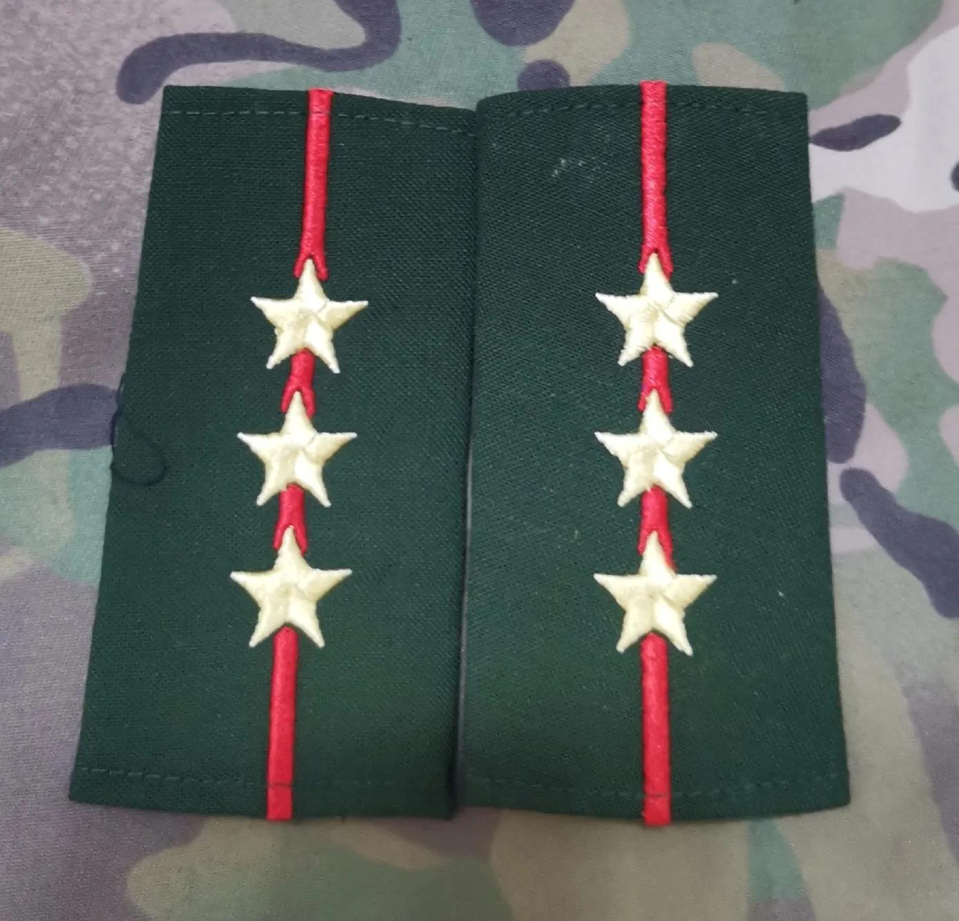 退役徽章欣赏（八七式*警武**警官套式警衔）