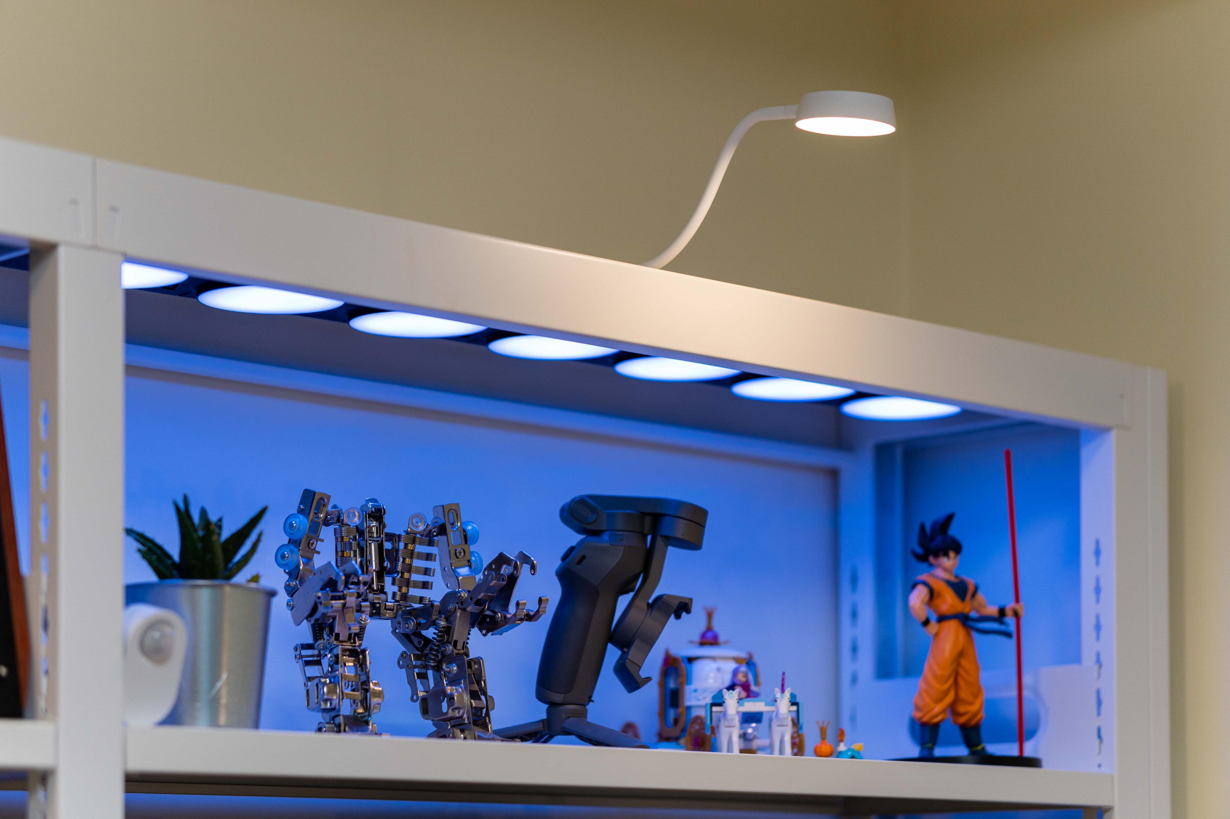 小户型图书馆书架客厅,图书馆书架放客厅