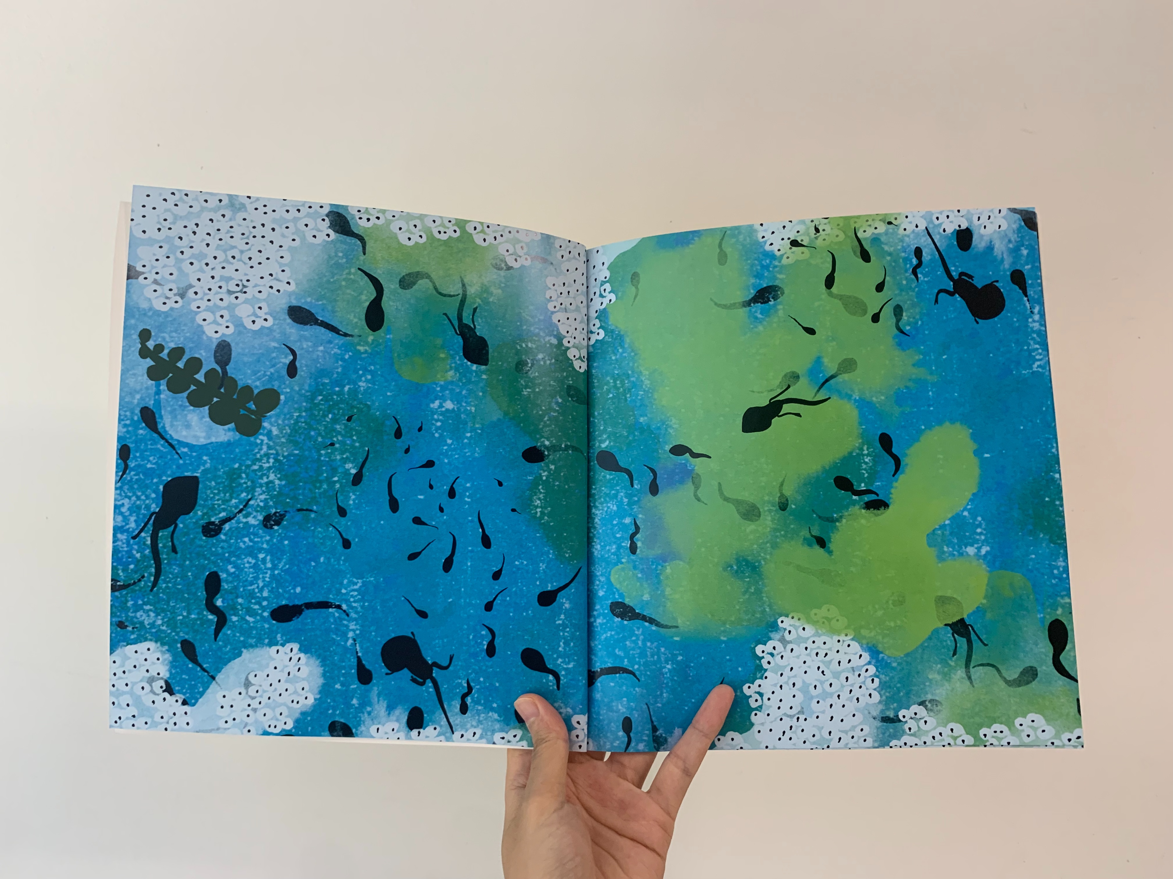 如何启发孩子观察大自然,培养孩子自然观察