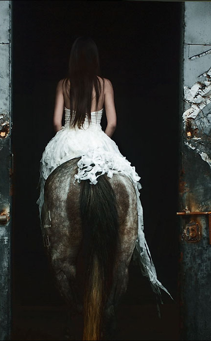 读马语者的感悟,一分钟看懂一幅摄影作品