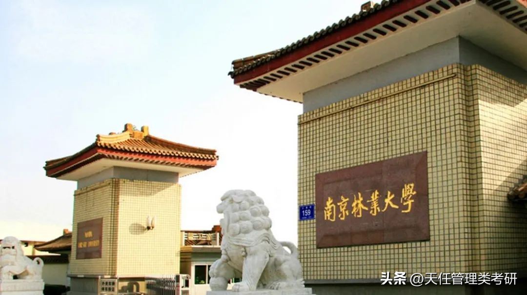 2019年会计专硕南京林业大学,南京林业大学mpacc非全调剂人数