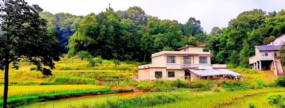 亲戚关系变奇怪？！公公和儿媳之间发生了什么？！