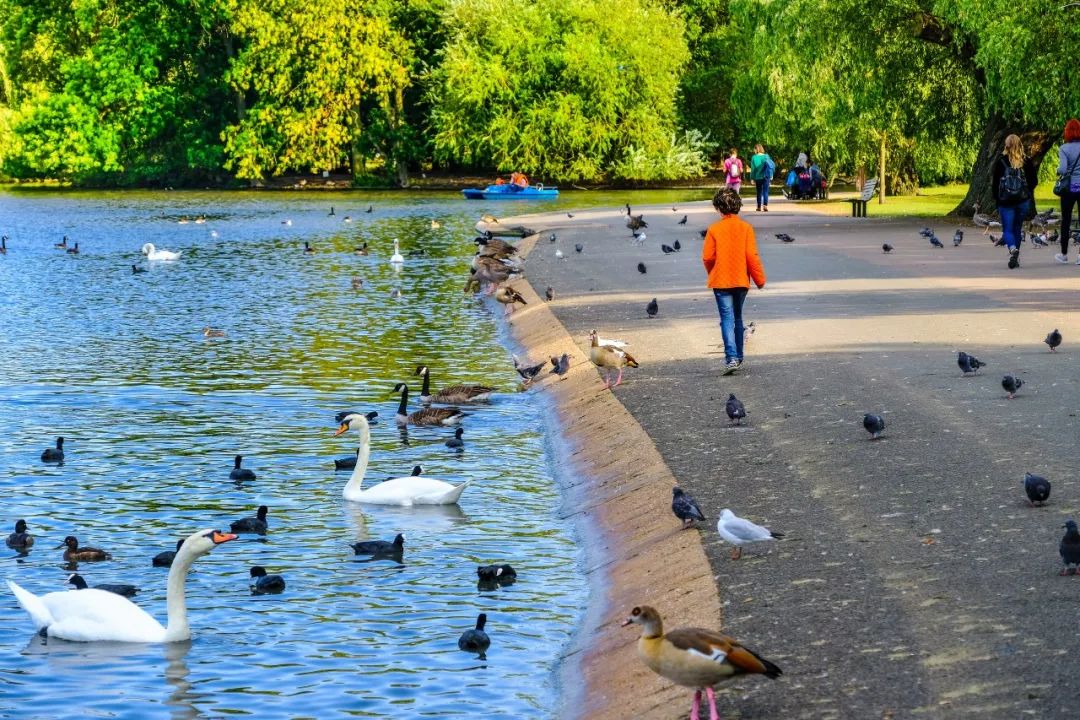 2023年很有意义的旅行,2023年旅行攻略