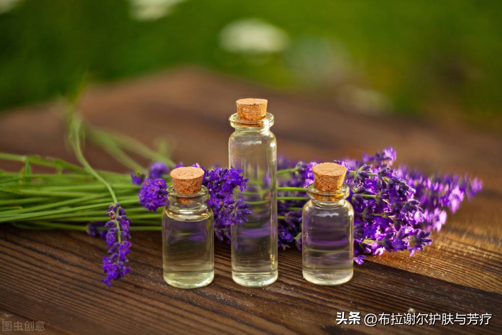 真实薰衣草——浸润滋养