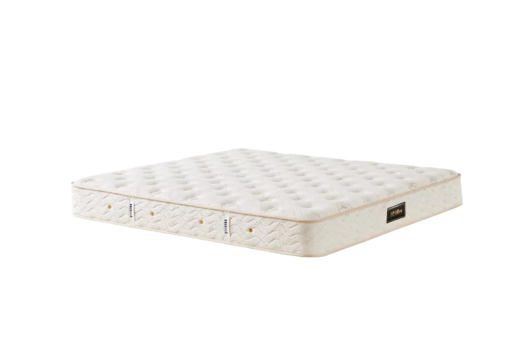 世邦家居·年荟丨你的虎年第一份大礼包，我们承包了