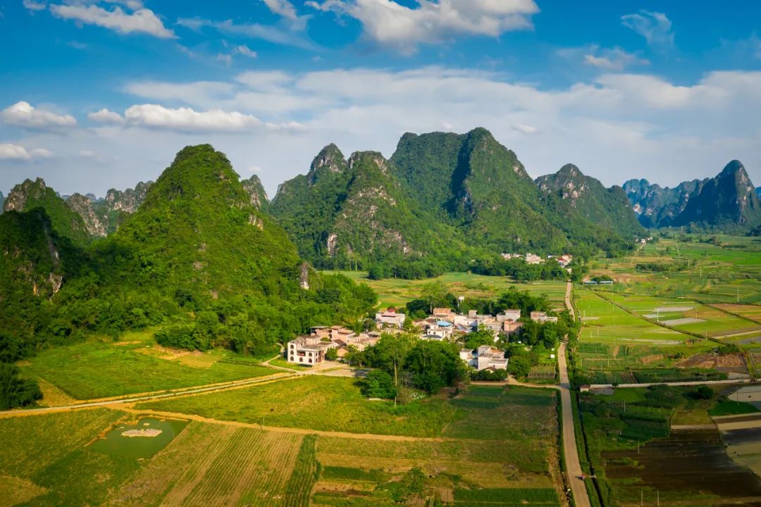 盘点那些过气网红的现状,2020年已经过气的网红