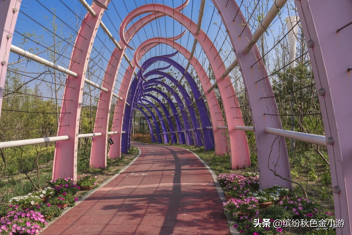 上海七大郊野公园排名榜单,上海松江郊野公园旅游详细攻略
