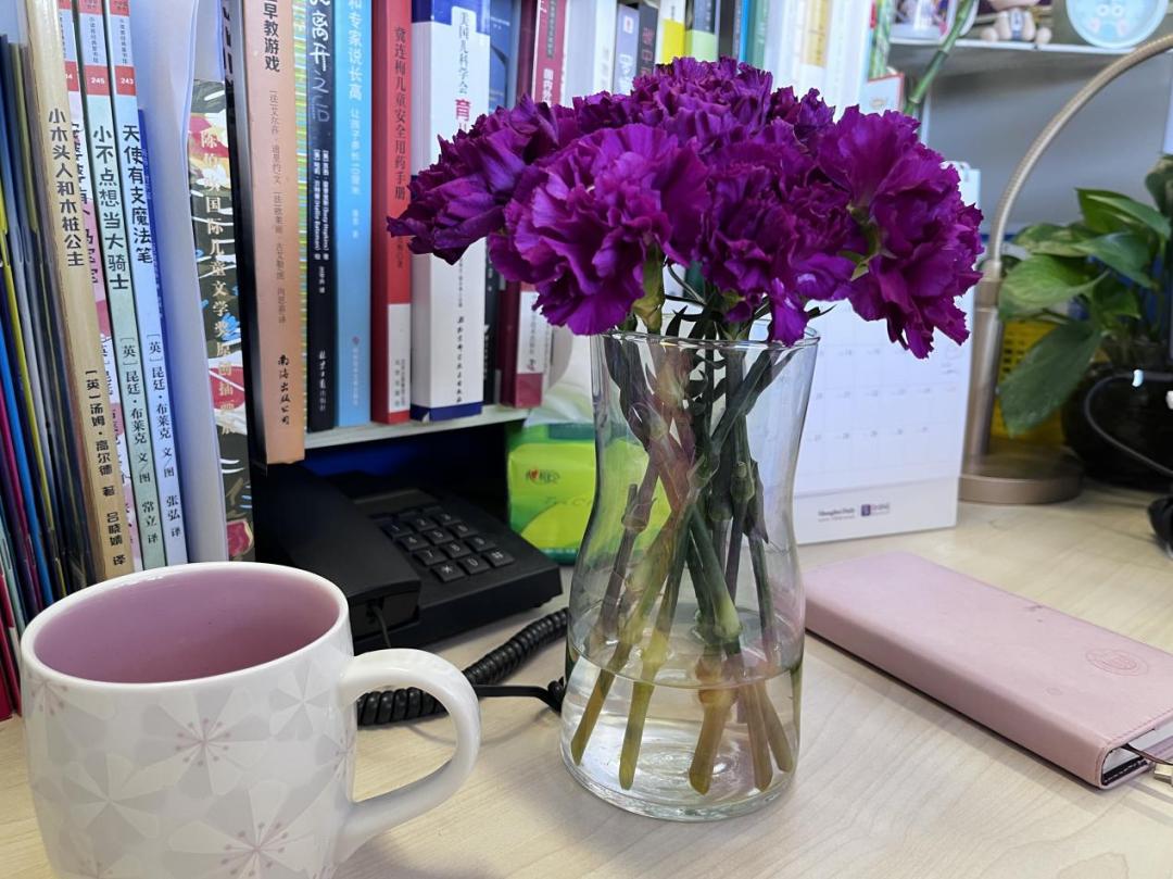 水培凤梨菠萝,菠萝水培最简单的方法