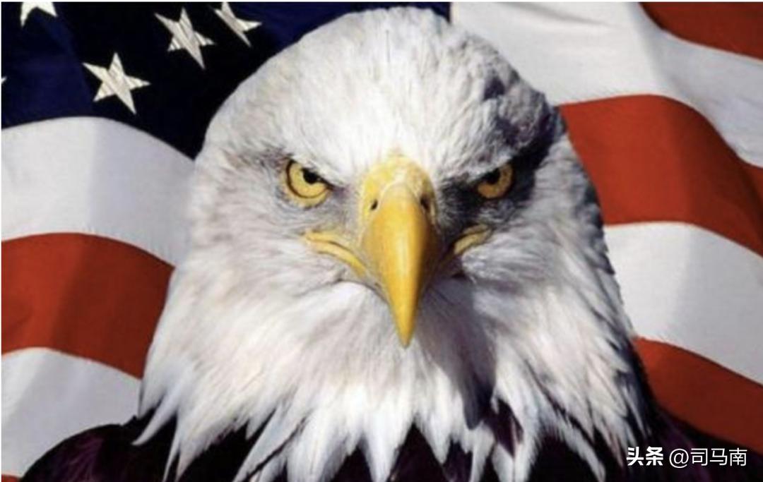 司马南谈辉瑞公司,司马南谈辉瑞制药副作用