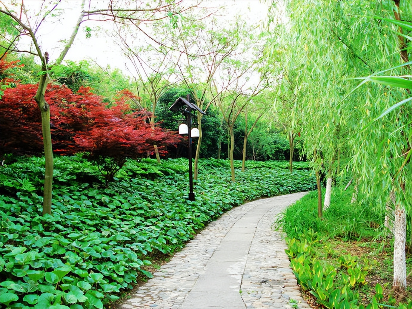 慢游放松体验,杭州慢时光游玩攻略