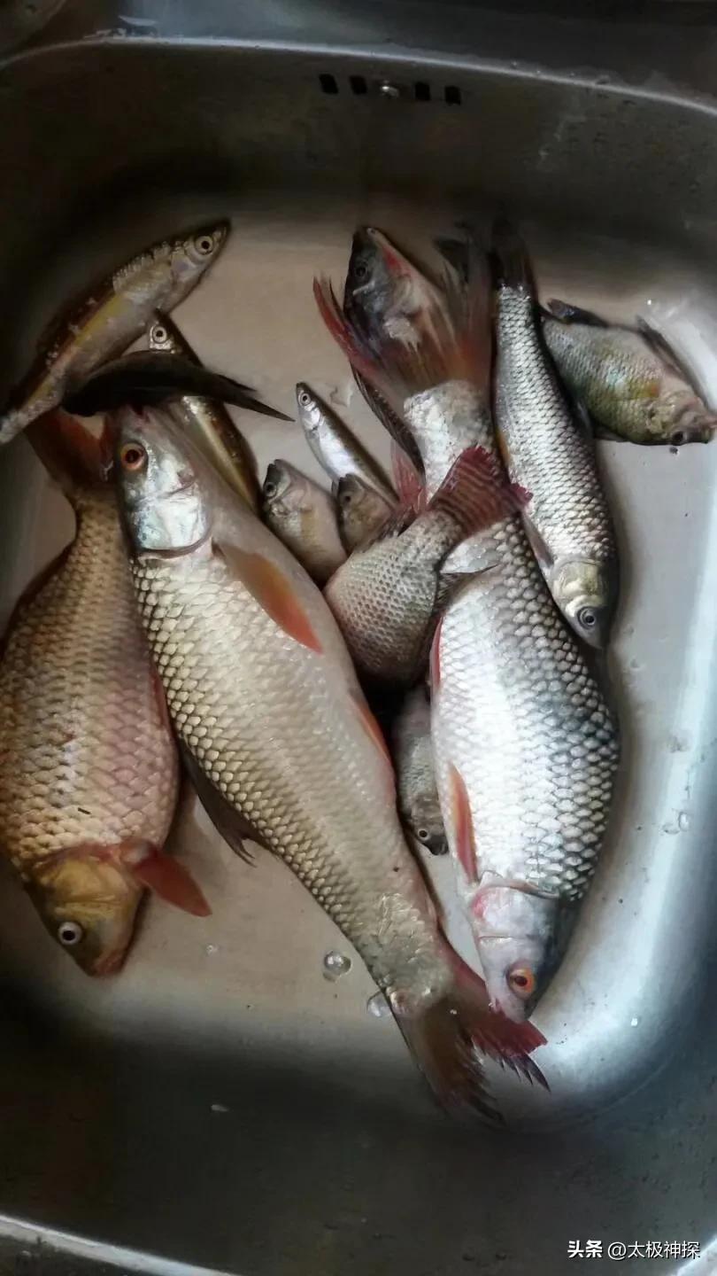 我理想的退休生活,退休后最理想的生活是什么