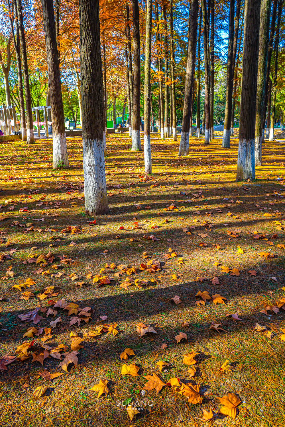 大自然塑造了我,大自然塑造者