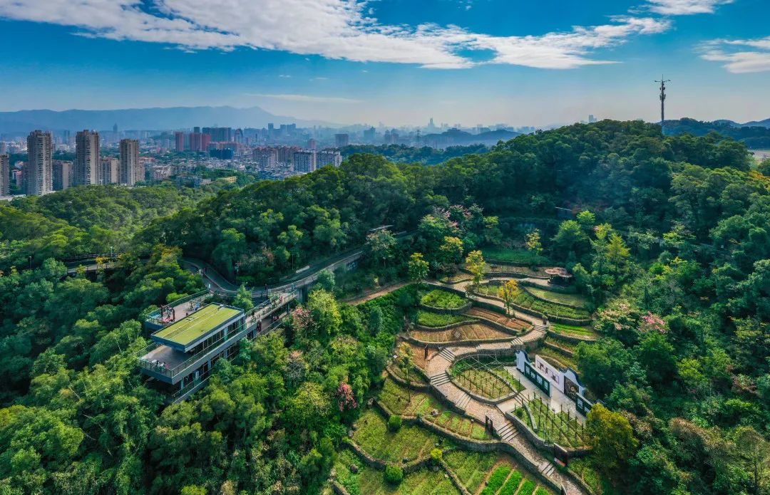 福州一日游最佳景点推荐三坊七巷,福州两日游必看景点有哪些